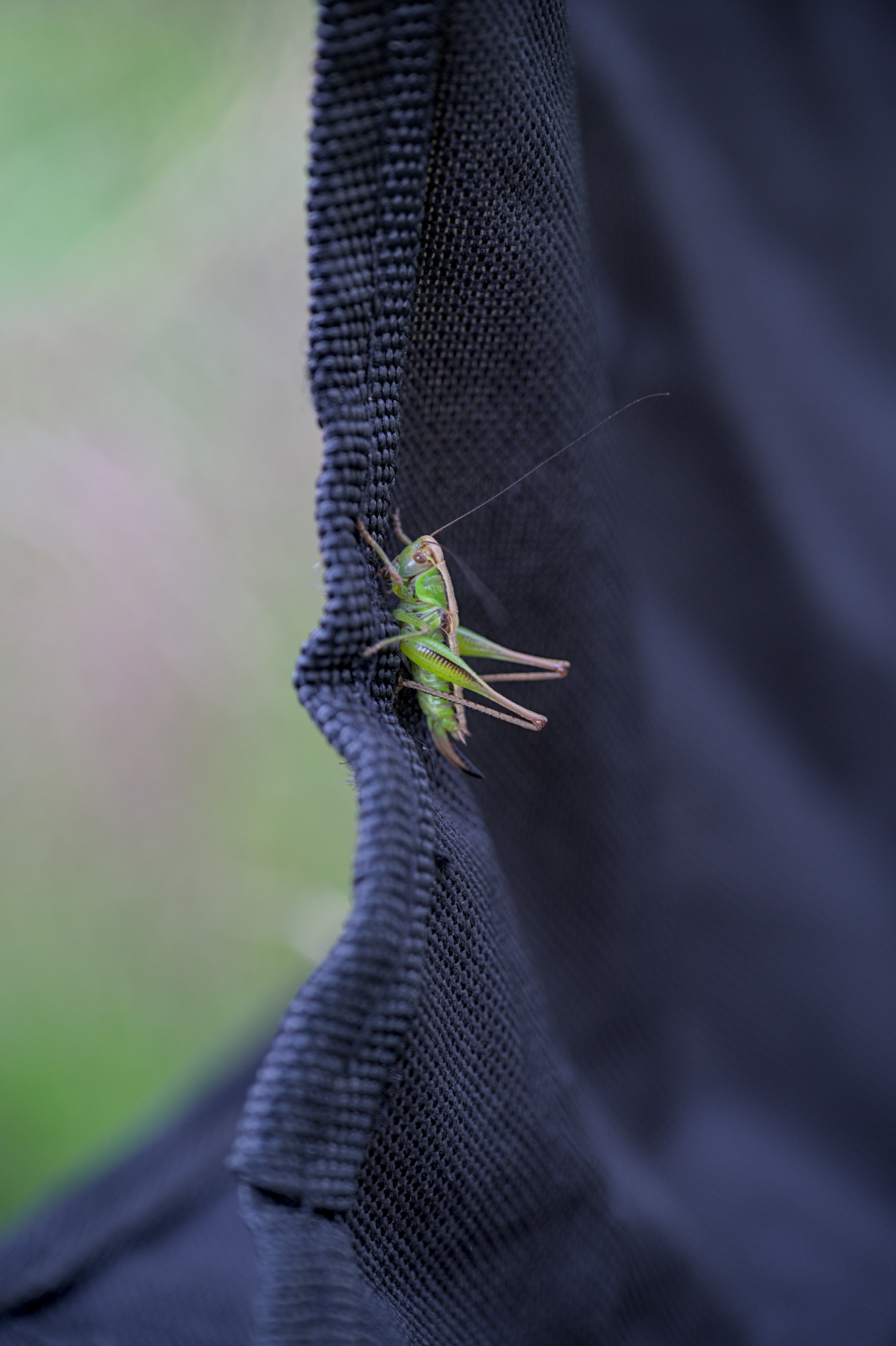 2025/07/09-14 - trip/export/DSC_0037.jpg